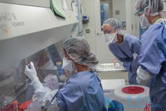 CAR-T�Ȱ�֢�����Ʒ��ĳɹ������ǿ����˰�֢�������