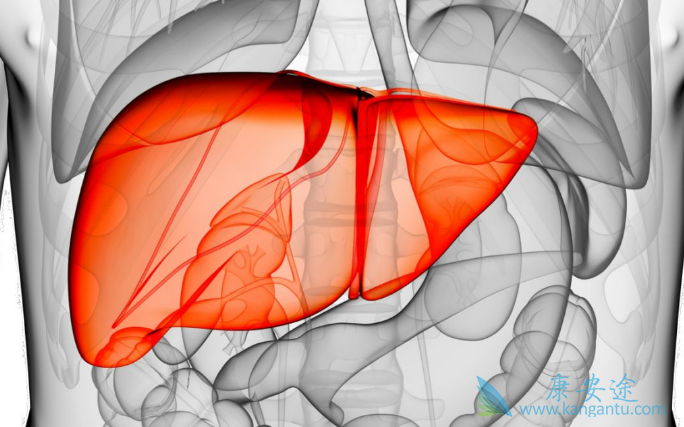 什么是丙肝 什么是丙肝