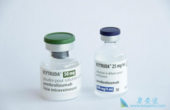 ����ǰ��ͳ����ʹ��PD-1���Ƽ��κ��˰�֢