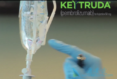 �ΰ���������Keytruda��PD-1���Ƽ���ռ�쵼��λ