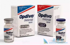 ר�ҷ�����PD-1���Ƽ����й���ʵ������