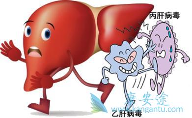 丙肝抗体 丙肝抗体