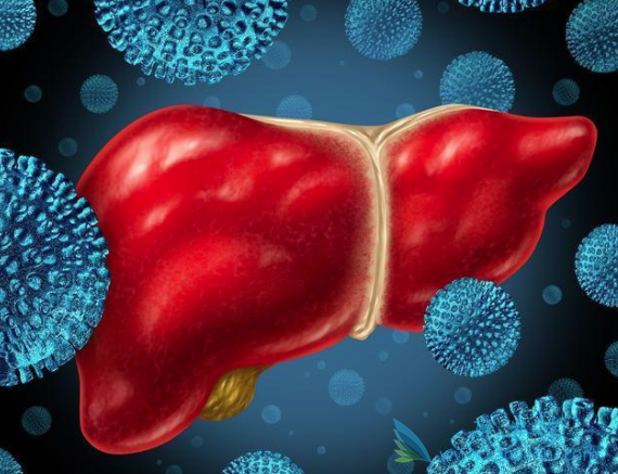 战胜乙肝 战胜乙肝