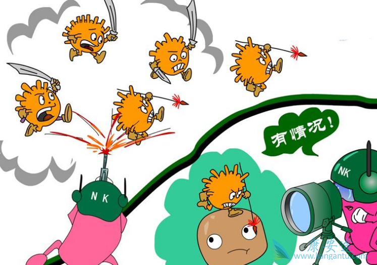 丙肝的治疗方法 丙肝的治疗方法