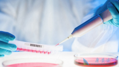 �Ҹ����ƵĹؼ�������ҪŪ���Ҹ���ʲô��