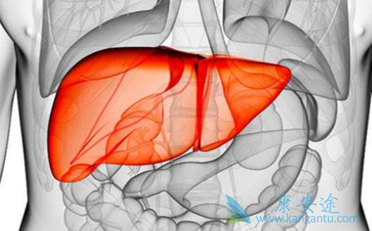 丙肝多长时间能治好 丙肝多长时间能治好