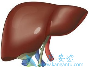 丙肝临床症状 丙肝临床症状