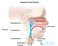 ������д�Ѫ�ǳ��������ڱ��ʰ�֢״