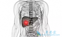 Ϊʲô��֢�β������׸���ת������Ҫԭ��