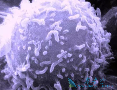 治疗癌症 治疗癌症