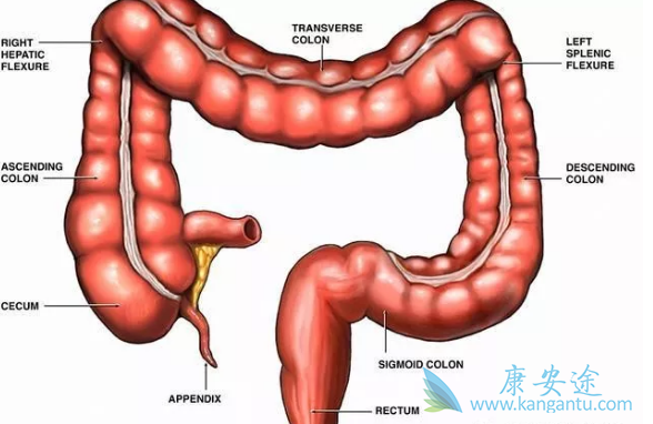 大肠癌症状 大肠癌症状