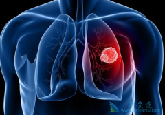 ��Сϸ���ΰ��������ѡ��ΰ������Ʒ���