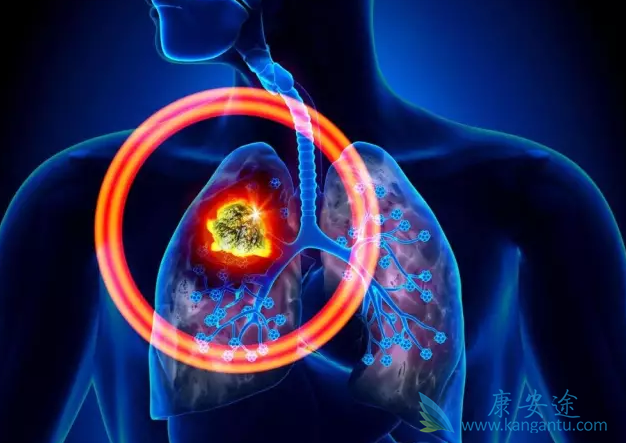 �ΰ��ᴫȾ��