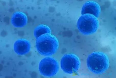 MIT�Ͳ�ʿ�ٴ�ѧ��������ͨ����CAR-Tϵͳ