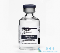 PD-1���Ƽ�Keytruda�뻯������ʹ�öԴ󲿷ֻ��߶���Ч
