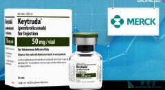 Ĭɳ��PD-1�����Ʒ�KeytrudaΪ���ڷΰ����ߴ�����ϣ��