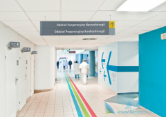 ӡ�������𽥳�Ϊȫ�����ҽ������Ŀ�ĵ�֮һ