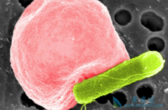 �ʺ���֢״�����ڱ�������Ҫ��������