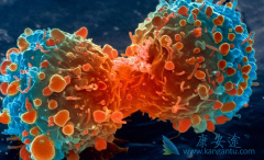 ��ֹ��֢ת�Ƶ���÷����Ǿ����������