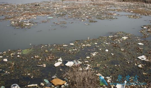 �й���֢��