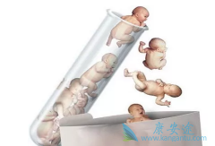 ���Թ�Ӥ����Ƶ�ᵽ����ֲ�����Щע������?