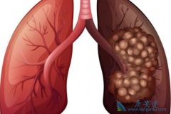 �ѳ��ֶദת��������ڷΰ�������