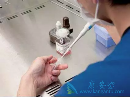 泰国试管婴儿价格 泰国试管婴儿价格