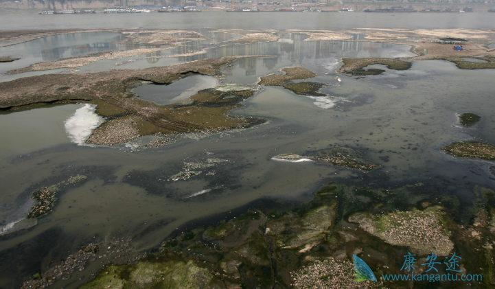 ��֢������