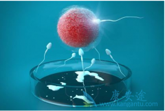 ��������Ӱ�쵽�����Թ�Ӥ���ɹ���