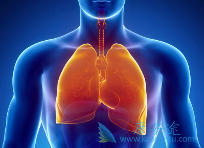 �ΰ���������Ʒ���