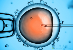 ̩���������Թ�Ӥ��������ȹ����о��Ե�����