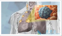 ���Ӱ���ҩ����Ч�������Ʒ�Сϸ���ΰ�