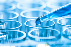 ����Թ�Ӥ�������еĳ��̴��ŷ�������