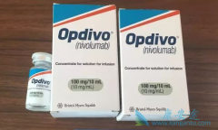 PD-1����ͨ����������ϵͳ��������ϸ��