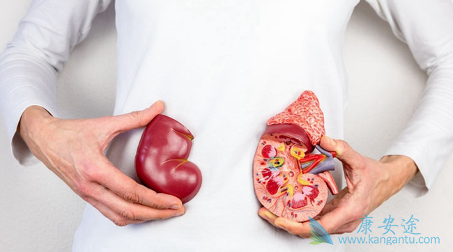 肾癌症状 肾癌症状