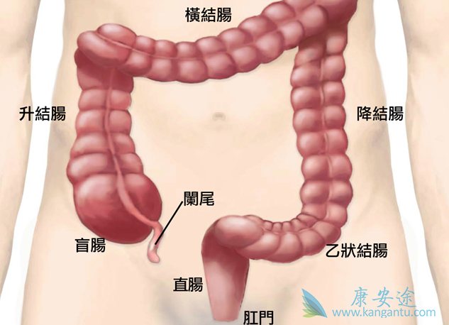 贲门癌症状 贲门癌症状