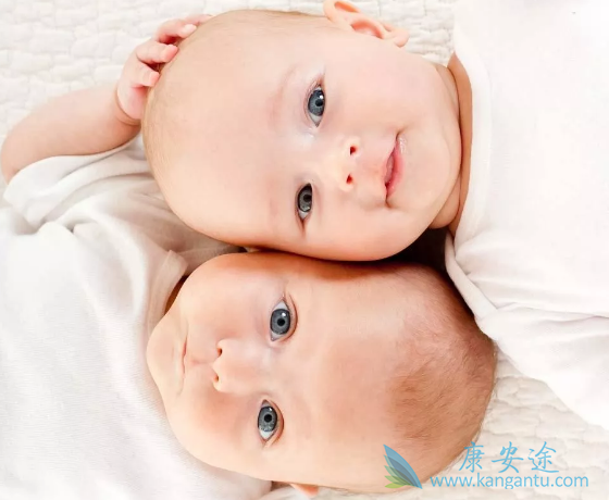 试管婴儿双胞胎 试管婴儿双胞胎