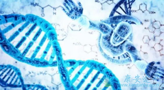泰国试管婴儿包成功 泰国试管婴儿包成功