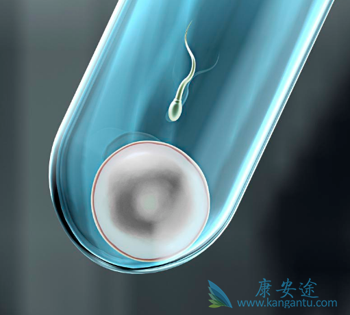 俄罗斯试管婴儿 俄罗斯试管婴儿