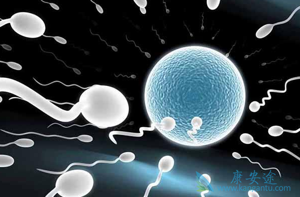 俄罗斯试管婴儿成功率 俄罗斯试管婴儿成功率