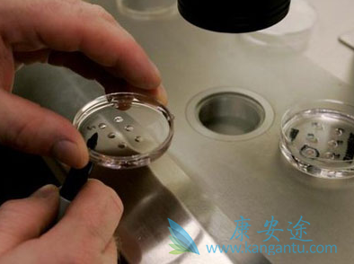 俄罗斯试管婴儿费用 俄罗斯试管婴儿费用