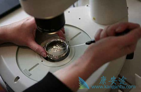 试管婴儿移植前注意事项 试管婴儿移植前注意事项