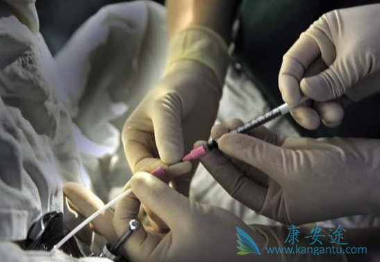 试管婴儿移植后几天着床 试管婴儿移植后几天着床