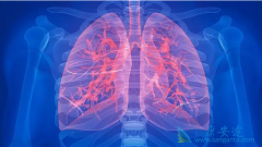 �ΰ����ڻ��о����Լ����߻�����Щʲô