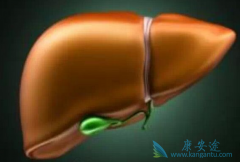 �ļ������Ҹε����ƵĻ���Ӧ����α������ࣿ