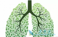 �ΰ�����Σ���Ժܴ���˷ΰ������ڼ��ʲô����