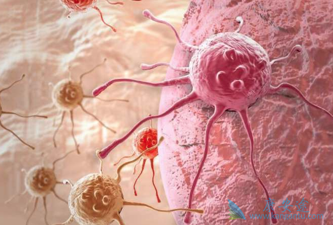 ��֢������֢״