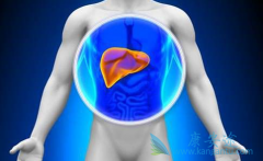 Ԥ��������������˽���εĴ���;��