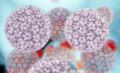 �ҹ����Ա��ε����Ʒ�����Ҫ�Ǹ����غ�����Τ����������