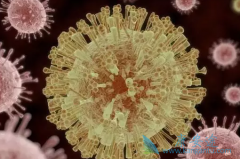 ���ڷΰ����ƺ����ڷΰ����Ƶķ�ʽ���ص㲻ͬ